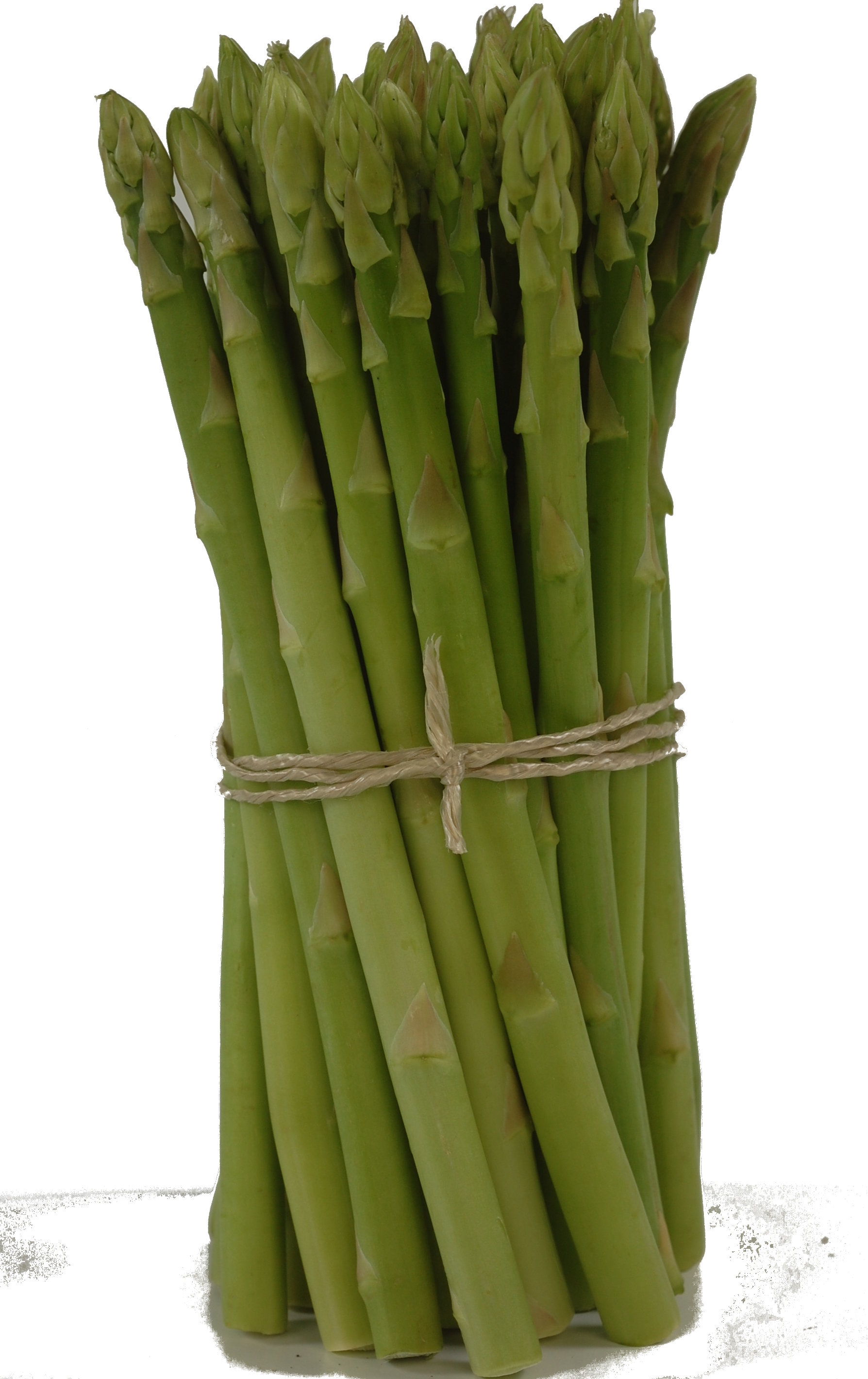 Asparagus - Green