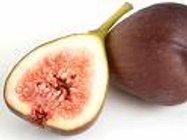 Fig