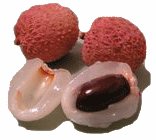 Litchi