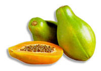 Papaya