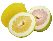 Pomelo