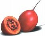 Tamarillo