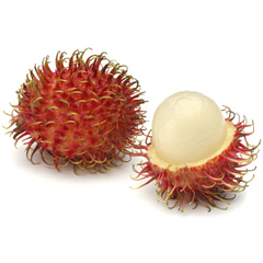 Rambutan