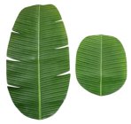 Banana Leaf