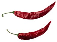 Chilli Pepper