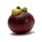 Mangosteen