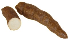 Manioc