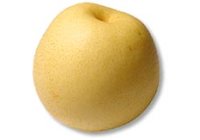 Nashi Pear