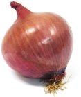 Onion