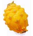 Pitahaya